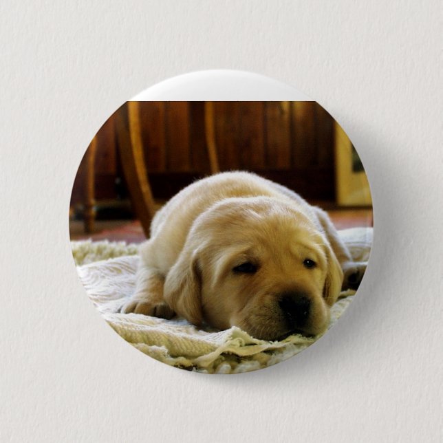 yellow 2 lab puppy inch round button (Front)