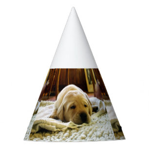 yellow 2 lab puppy party hat