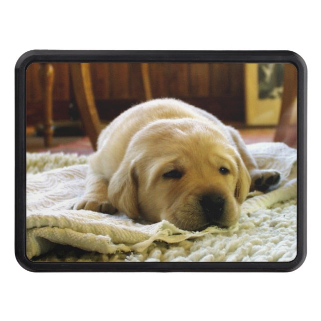 yellow 2 lab puppy trailer hitch cover (Front)