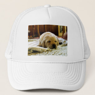 yellow 2 lab puppy trucker hat