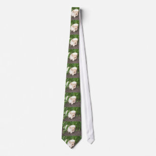 yellow 3 lab laying tie