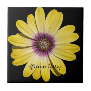 Yellow African Daisy Floral Tile
