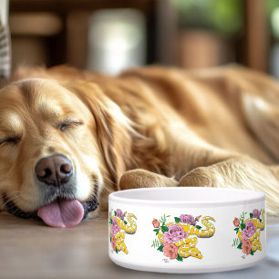 Yellow Albino Ball Python