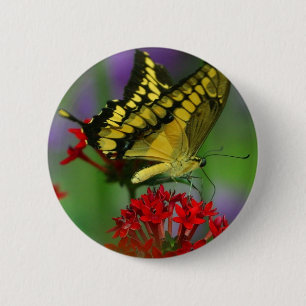 Yellow and Black Butterfly 2 Inch Round Button