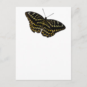 Yellow and Black Butterfly Art Nature Drawing Postcard