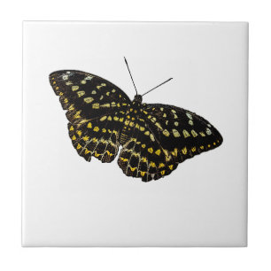 Yellow and Black Butterfly Art Nature Drawing Tile