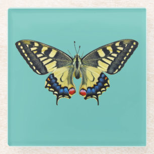 Yellow and black butterfly glass coaster