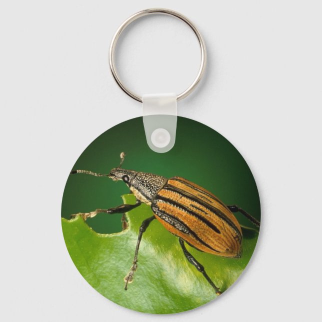 Yellow and black  striped weevils bettle keychain (Front)