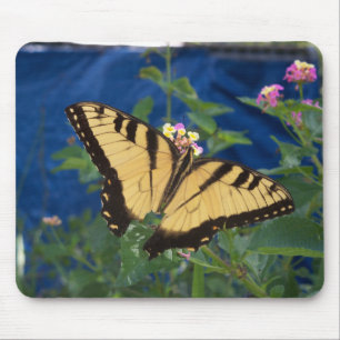 Yellow and black Swallowtail Butterfly Mouse Pad