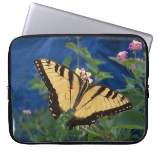 Yellow and black swallowtail butterfly on a laptop sleeve