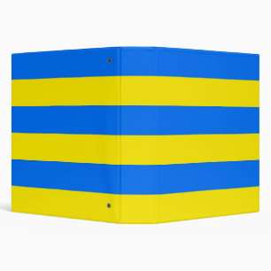 Yellow and Blue Stripes Binder