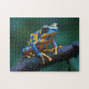 Yellow and Blue Tree Frog Jigsaw Puzzle