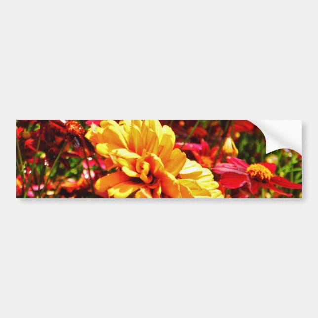 Yellow and Bright Pink Wild Flowers Bumper Sticker (Front)