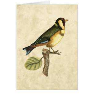 Yellow and Green Bird Perched on a Little Branch