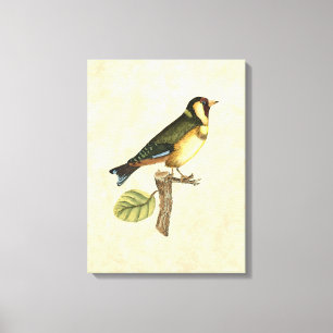 Yellow and Green Bird Perched on a Little Branch Canvas Print