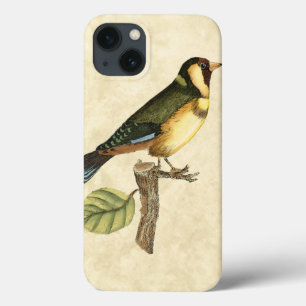 Yellow and Green Bird Perched on a Little Branch iPhone 13 Case