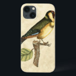 Yellow and Green Bird Perched on a Little Branch iPhone 13 Case<br><div class="desc">This engraved-inspired print displays sharp,  vivid images with a high degree of colour accuracy. The neutral background helps emphasize the colours of the bird. Customize your favourite Zazzle product using this beautiful image.</div>
