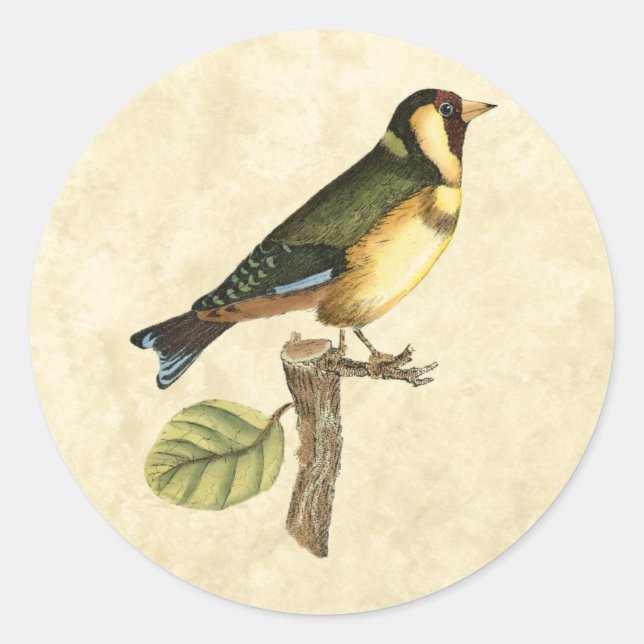 Yellow and Green Bird Perched on a Little Branch Classic Round Sticker (Front)