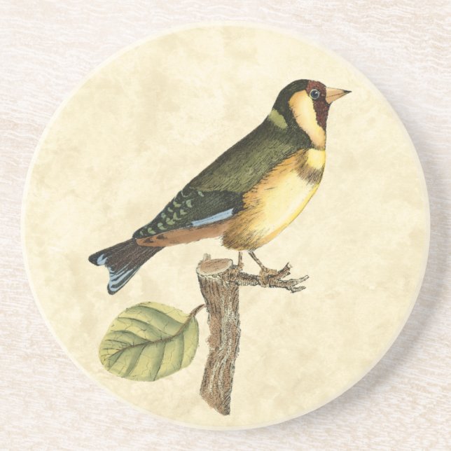 Yellow and Green Bird Perched on a Little Branch Coaster (Front)