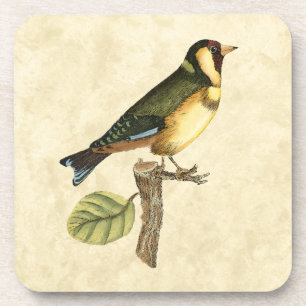 Yellow and Green Bird Perched on a Little Branch Coaster