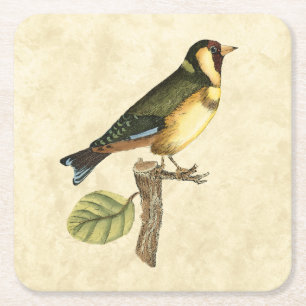 Yellow and Green Bird Perched on a Little Branch Square Paper Coaster