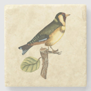 Yellow and Green Bird Perched on a Little Branch Stone Coaster