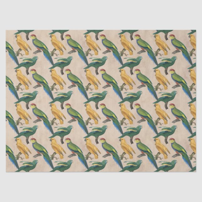 Yellow and Green Birds on Tan Decoupage Tissue Paper (Front)