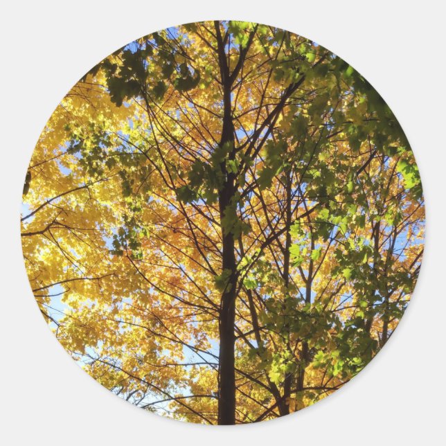 Yellow and Green Fall Foliage Classic Round Sticker (Front)