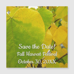 Yellow and Green Redbud Leaves