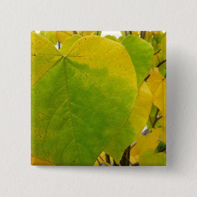 Yellow and Green Redbud Leaves 2 Inch Square Button (Front)