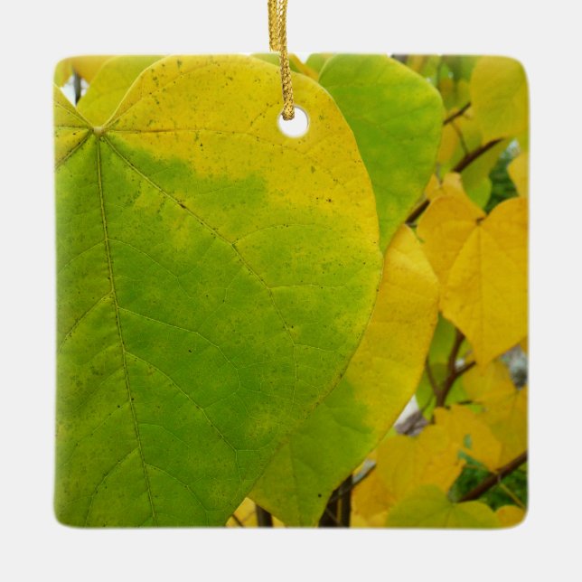 Yellow and Green Redbud Leaves Ceramic Ornament (Front)