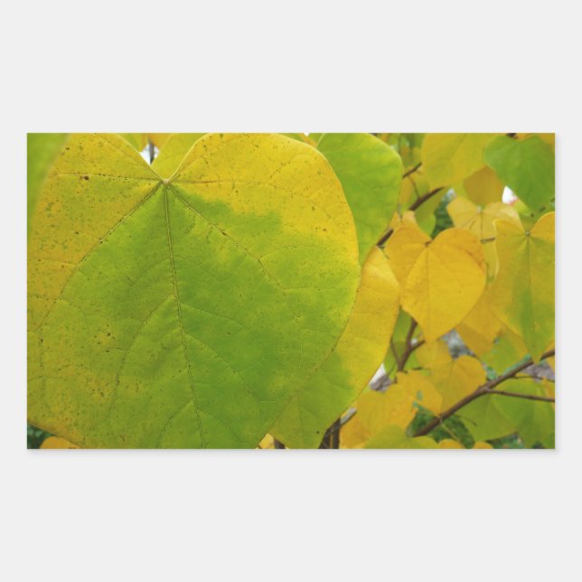 Yellow and Green Redbud Leaves Sticker (Front)