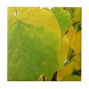 Yellow and Green Redbud Leaves Tile