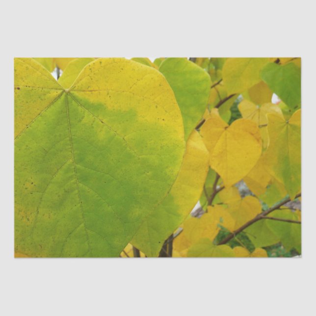 Yellow and Green Redbud Leaves Tissue Paper (Front)