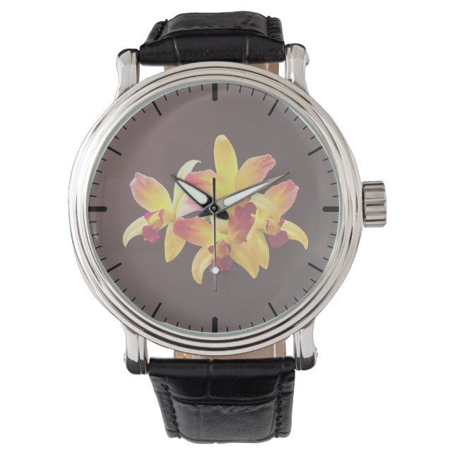 Yellow and Maroon Orchids Brassolaeliocattleya Watch (Front)