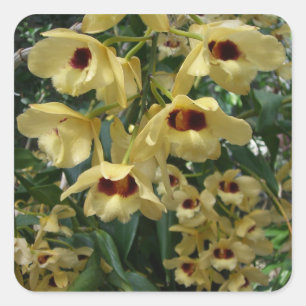 Yellow and Maroon Orchids Elegant Floral Square Sticker