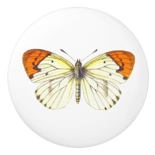 Yellow and Orange Butterfly Ceramic Knob