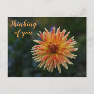 Yellow and Orange Dahlia Thinking of you Postcard