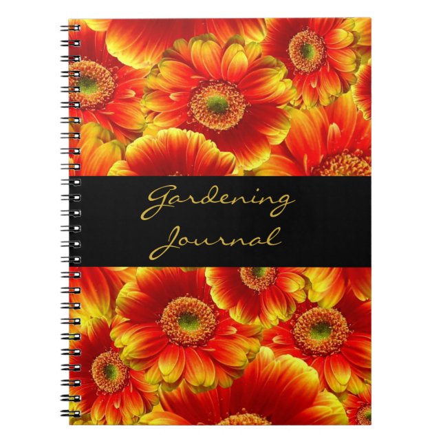 Yellow and Orange Gerbera Daisies Notebook (Front)