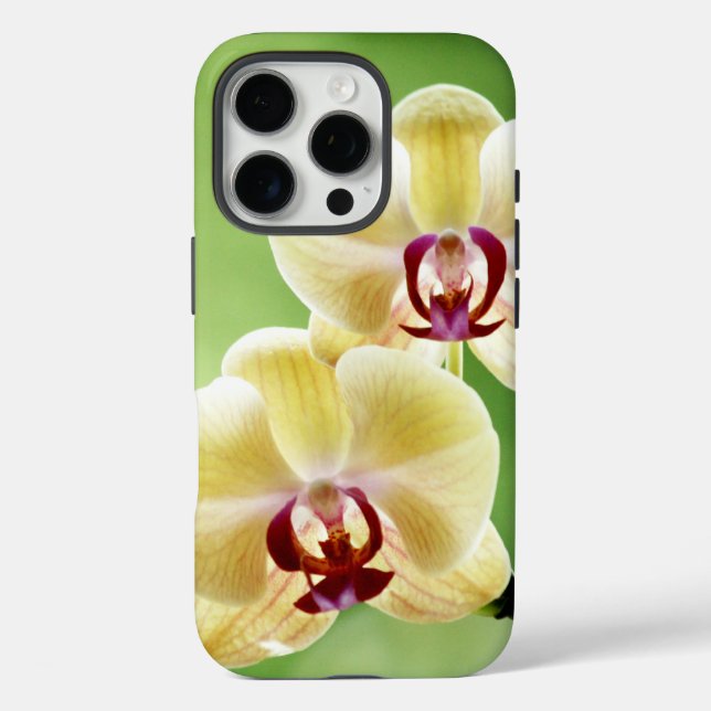 Yellow and Pink Orchid Case-Mate iPhone Case (Back)