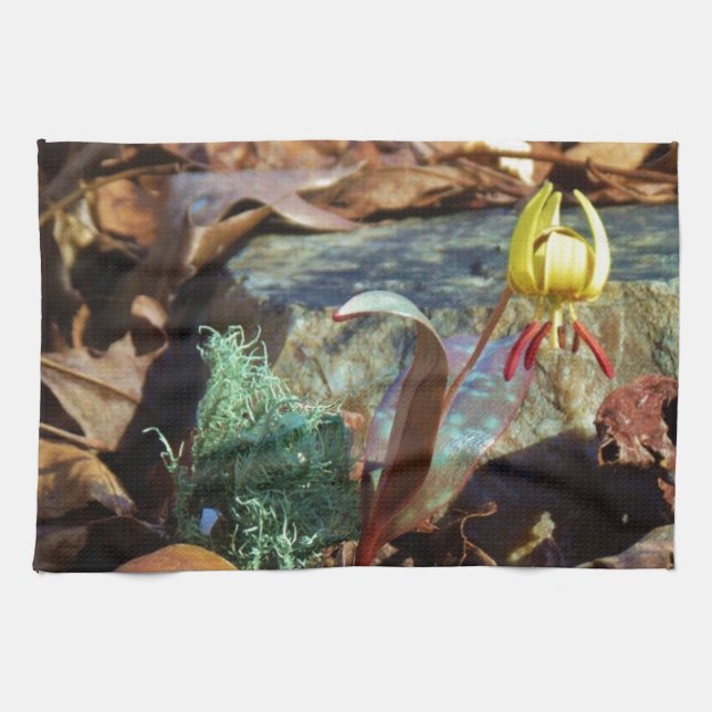 Yellow and Plum Trout Lily and Snail Shell Kitchen Towel (Horizontal)