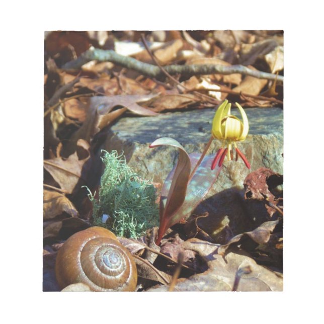 Yellow and Plum Trout Lily and Snail Shell Notepad (Front)