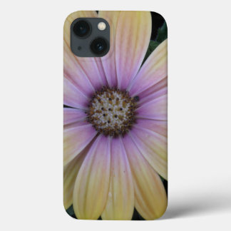 Yellow and Purple Daisy Flower iPhone 13 Case