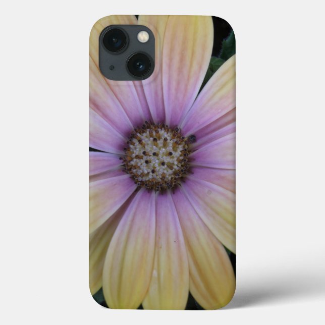 Yellow and Purple Daisy Flower Case-Mate iPhone Case (Back)