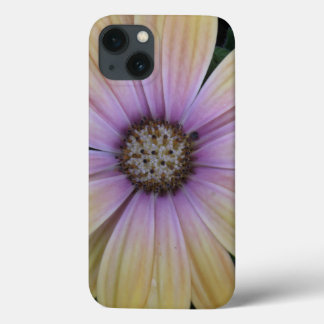 Yellow and Purple Daisy Flower iPhone 13 Case