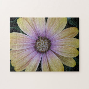 Yellow and Purple Daisy Flower Jigsaw Puzzle