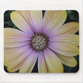 Yellow and Purple Daisy Flower Mouse Pad