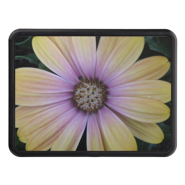 Yellow and Purple Daisy Flower Trailer Hitch Cover (Front)
