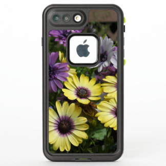 Yellow and Purple Flowers