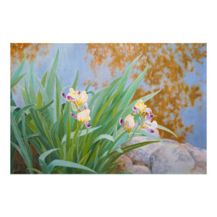 Yellow and Purple Irises with Golden Light Photo Print